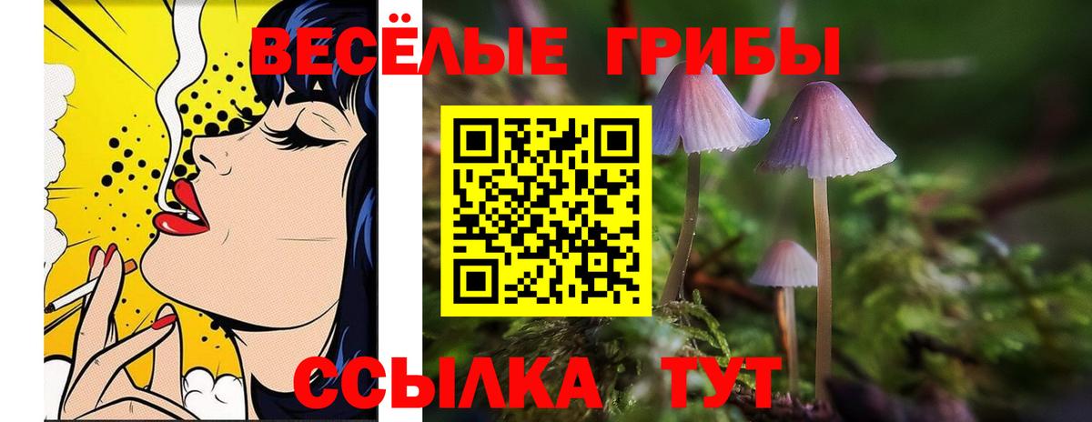 Саров  Галлюциногенные грибы прущие грибы  Вход с VPN 
